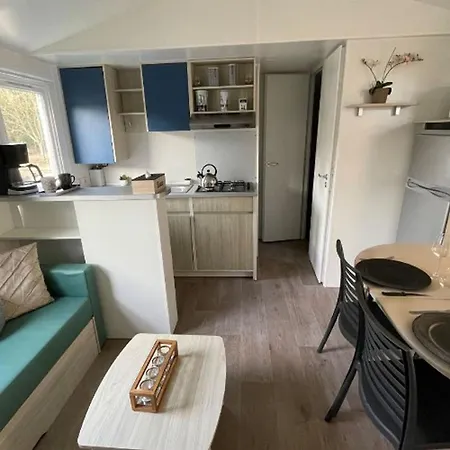 Mobil-home Avec Terrasse - 6 Pers. - Api-1-52-2042 Kamp alanı *